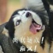 Æ皇家弗洛里格特级黄咸鱼