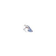 星星不休息