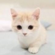 雪馨、沁梦(୨୧•͈ᴗ•͈)