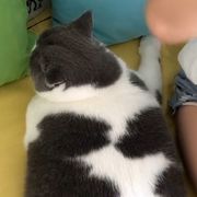 男宝妈的心酸往事