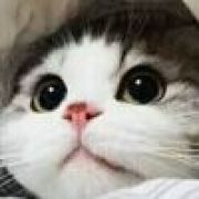 预约的游戏都死了