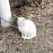 学地理的理科生