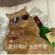 未命名_名字被取