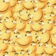 繁花似落，树荫成散