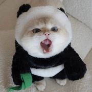 伤害只有亿点点