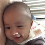 木木木兆