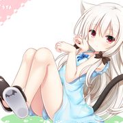 今天也是猛男啊