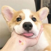 尼古丁有У1n。╮