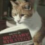 带着嫦娥去奔月