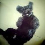 ̶ ̶L̶u̶c̶i̶f̶e̶