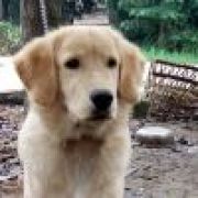 土士不分(杨天皓)