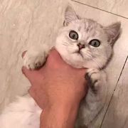 。