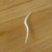 阳光V/S潜风巽影