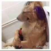 我的网名不长一共十五个字信不信