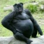 啦啦啦啦(✪▽✪)