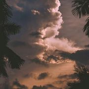 既无风雨也无晴