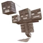 极地法师的骷髅