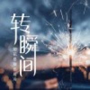 烟花虽美，转瞬即逝