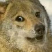 45无胸论提出者