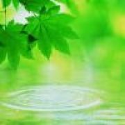 ヾ流逝の青春...