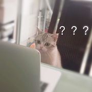 包包包包包包包💡