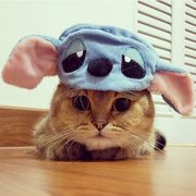 左木คิดถึง