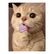 专注游戏二十多年