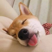 无所谓，我会出手