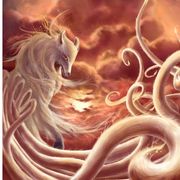 好吃懒做的白茶