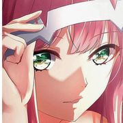 鹤望兰天下第一