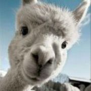 银河系联盟总指挥