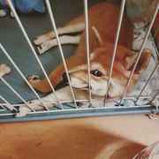 霏爷全球粉丝后援会