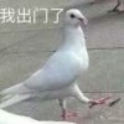 中国人能飞
