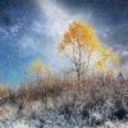 夜空中最亮的星