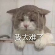 咸鱼