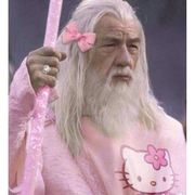 鸡蛋鸭蛋荷包蛋