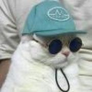 薄荷味儿大胖！