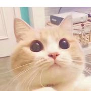 聆听♪雨の印记