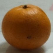 手机用户40475781