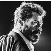 我家的松鼠会扒房