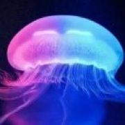 永不言弃