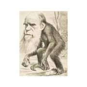 内涵段子&皮皮虾