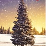 祸害苍生好青年