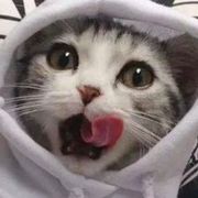 傻傻的憨憨