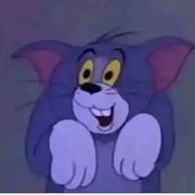 汤姆猫°
