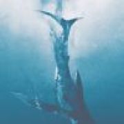 一笑轻狂一笑痴