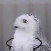 做梦