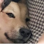 元素：C