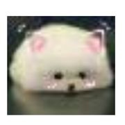 北冥有鱼，其名为咸