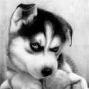 我这人稳的一匹！